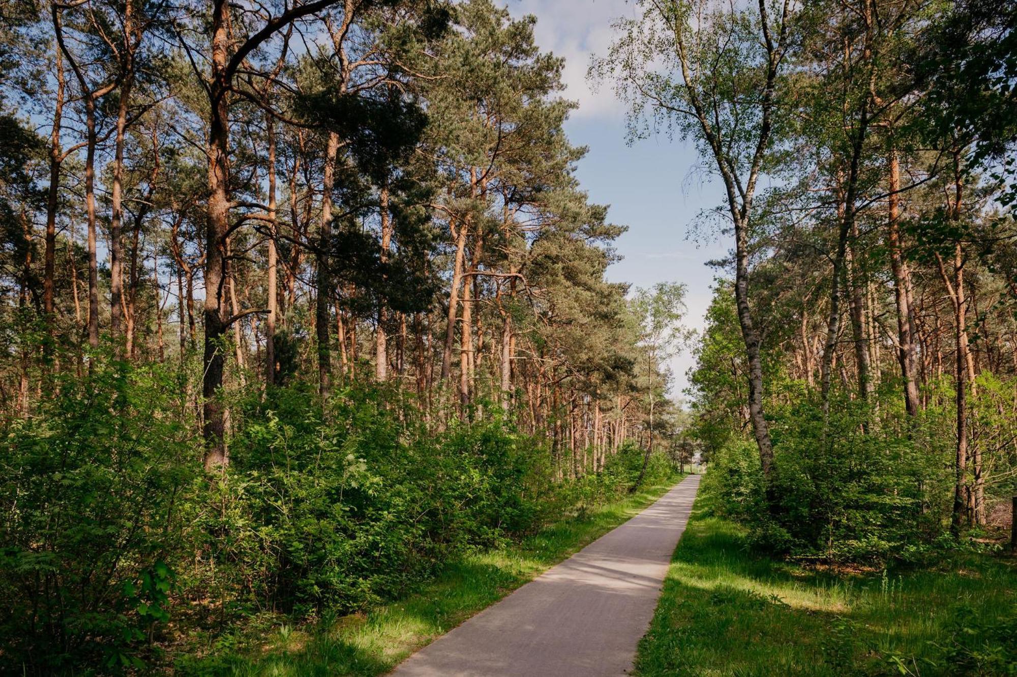 Lodge Goudvink Nunspeet Veluwe Esterno foto